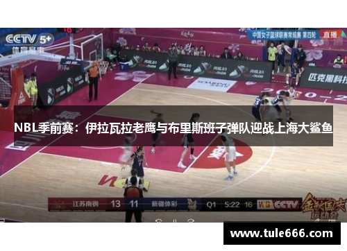 NBL季前赛：伊拉瓦拉老鹰与布里斯班子弹队迎战上海大鲨鱼