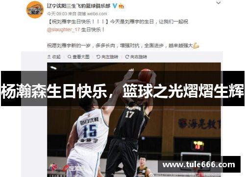 杨瀚森生日快乐，篮球之光熠熠生辉